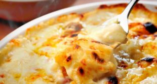 chicon au gratin belge