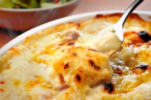chicon au gratin belge