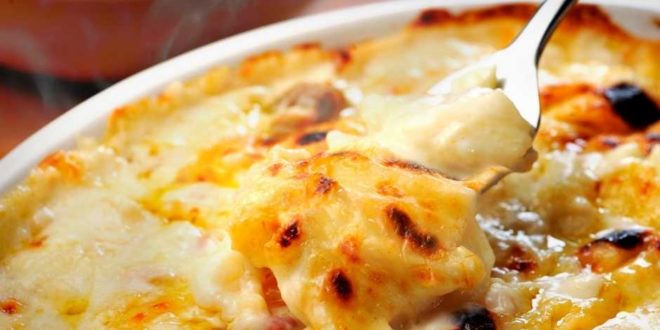 chicon au gratin belge