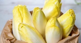 chicons recette