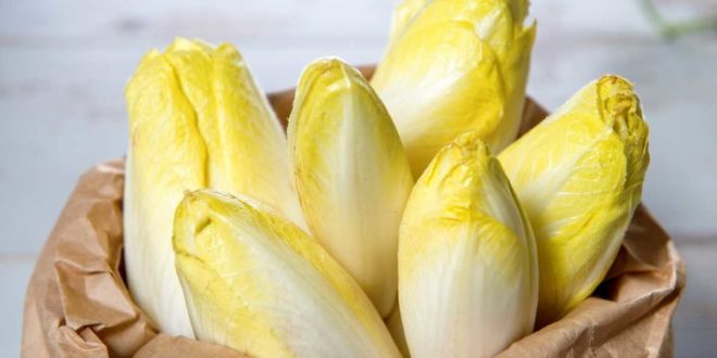 chicons recette
