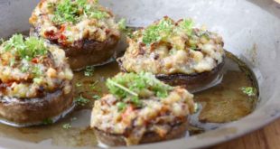 escargots aux champignons