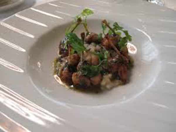 les grenouilles et petits gris au riesling
