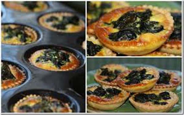 les mini quiches aux escargots c’est top !