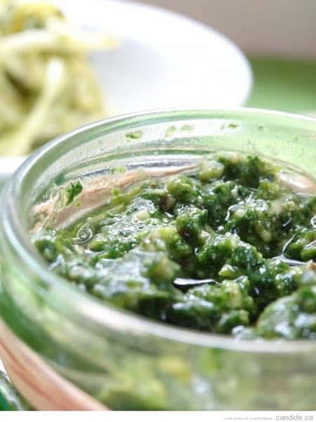 pesto : une belle recette à connaitre absolument