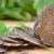recettes de truffes