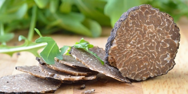 recettes de truffes