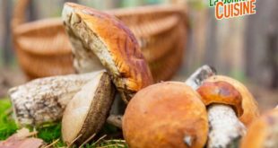recettes aux champignons