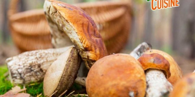 recettes aux champignons