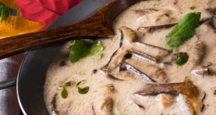 sauce aux champignons
