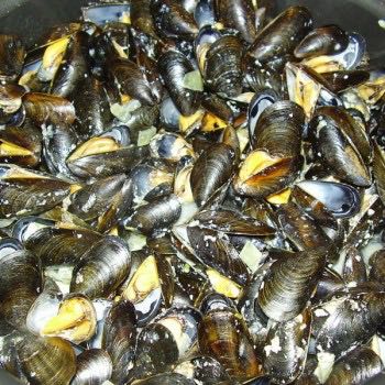 Moules au pastis