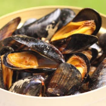 moules piquantes