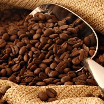 Le café : Arabica, Robusta, Maragogye, Expresso…