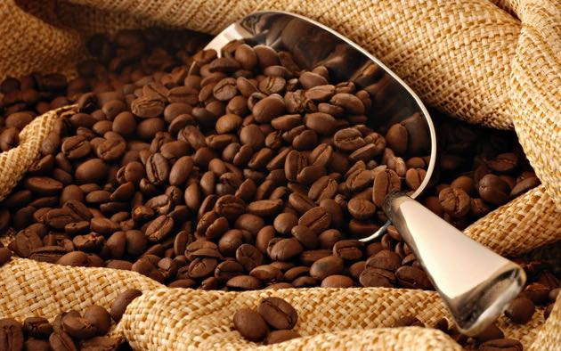 le café : arabica, robusta, maragogye, expresso…