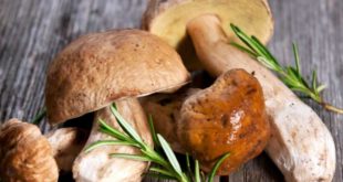 recette cèpe