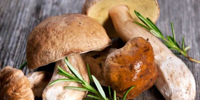 recette cèpe
