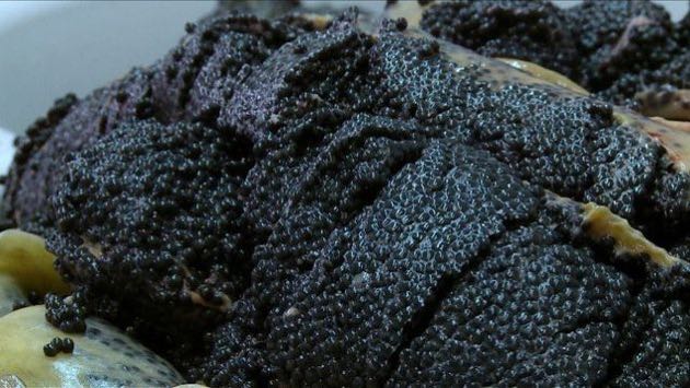 le caviar