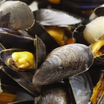 Moules Grand’mère