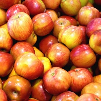 Cueillez vos pommes à Henripont… et découvrez les recettes les plus simples pour vous en régaler
