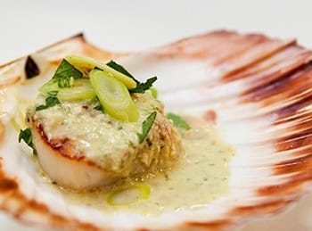 Coquilles Saint-Jacques nature, simplement !