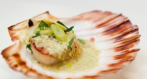coquilles saint-jacques nature