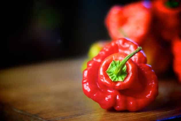 piments les plus forts au monde : le top 10