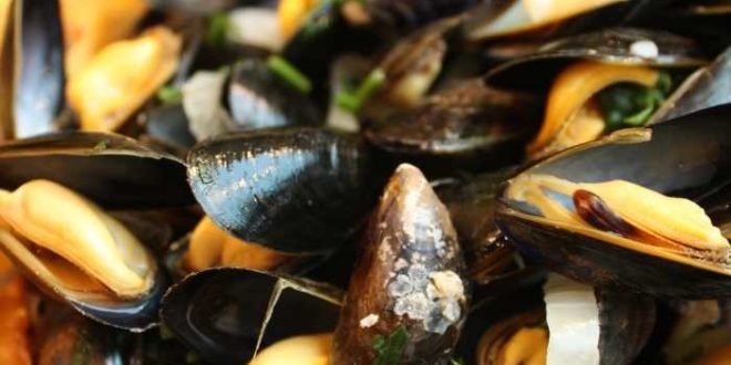 moule frites