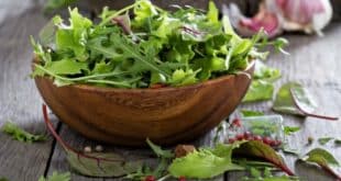 comment conserver vos salades