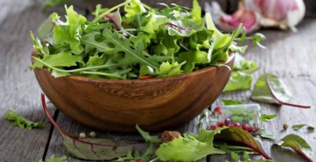 comment conserver vos salades