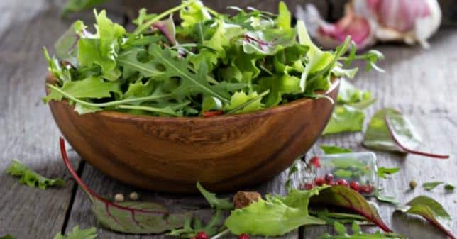 Comment conserver vos salades