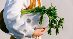5 aliments qu'il ne faut surtout pas réchauffer