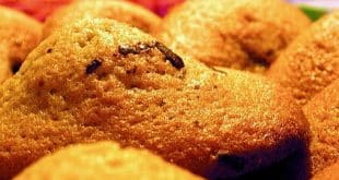 madeleines