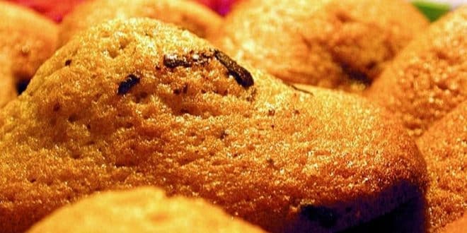 madeleines