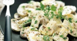 salade de champignons crus