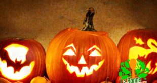 citrouille halloween