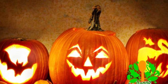 citrouille halloween
