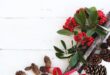 brown pine cones