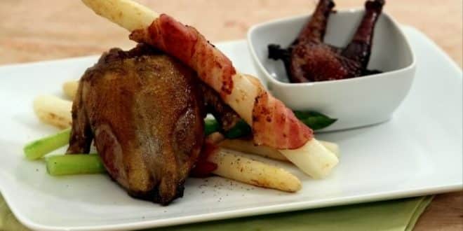 pigeon au vin rouge