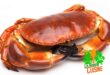 cuisson crabe conseils